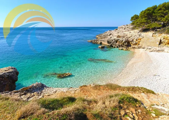 Momcilo 1995 * Póla